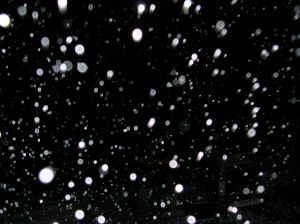snowflakes-1479963