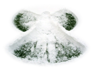 susan-s-snow-angel-1383171